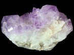 Cactus Quartz (Amethyst) Crystals - Large Point #47187-1